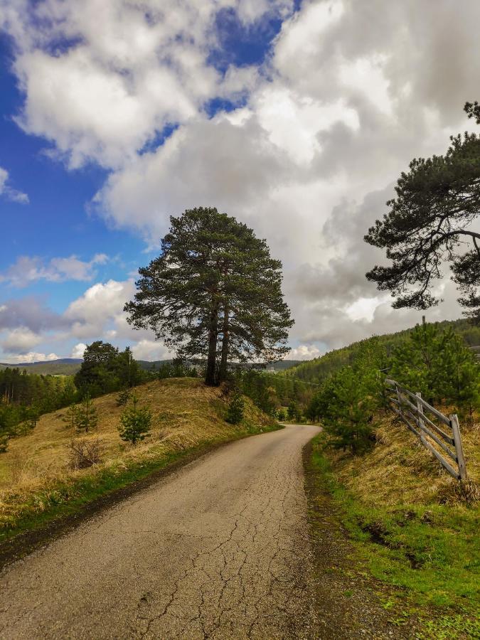 Art Village Kremna Eksteriør billede